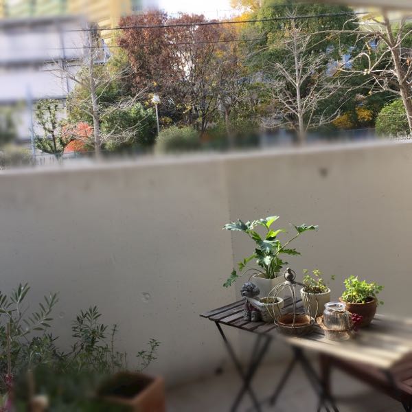 rblog-20161216143111-01.jpg