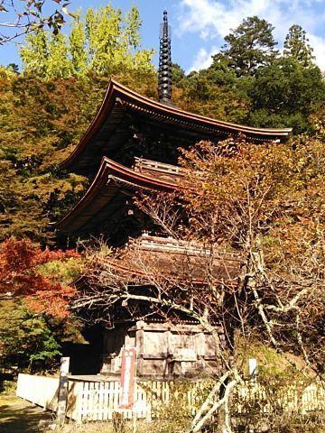 rblog-20181104204141-01.jpg