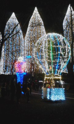 2013イルミ５
