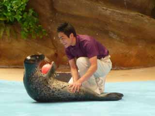 アドベンチャーワールド