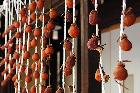 遠野ふるさと村