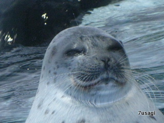 IMG_2186.JPG