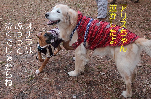 ないてる