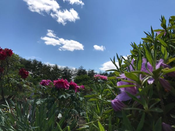 rblog-20170517160914-01.jpg
