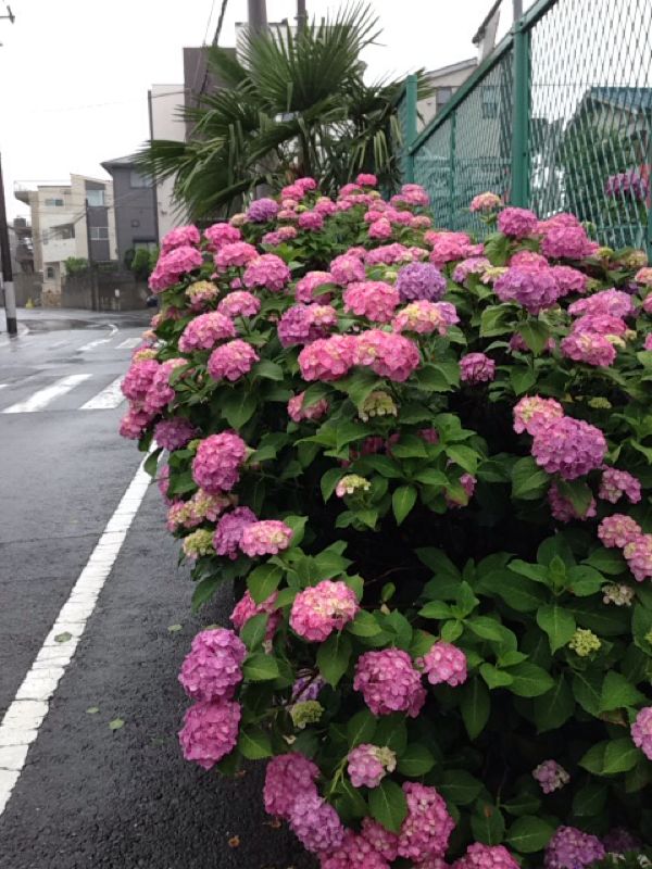 rblog-20140608230502-03.jpg