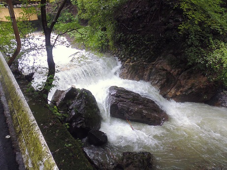 P1000790.JPG