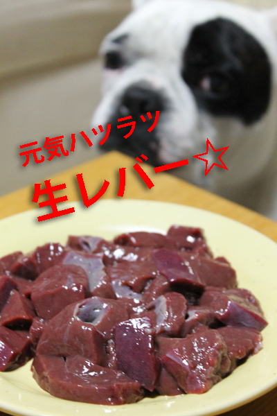 誕生日1.jpg
