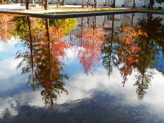 紅葉１