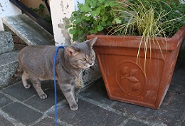 IMG_4376-11.jpg