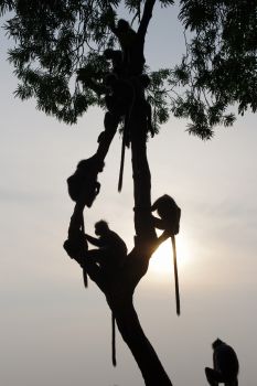 20120818_062.jpg