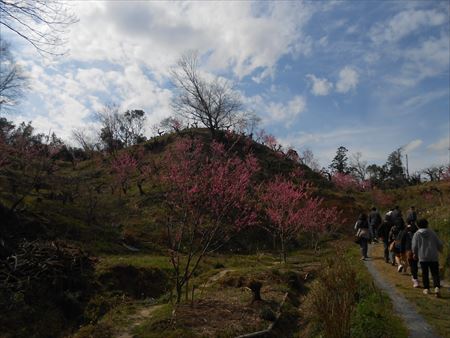 里山公園