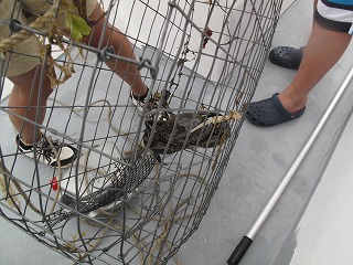 IMG_5270.jpg