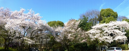 P1080367.JPG