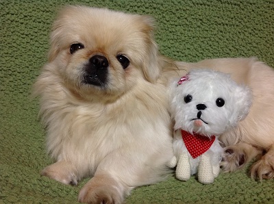20130301-1.jpg