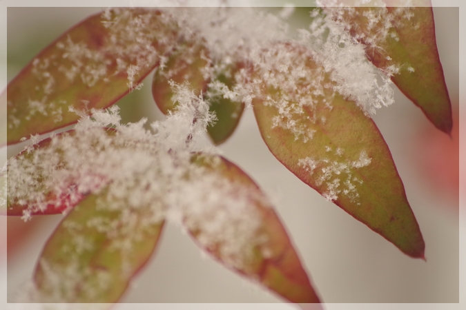 雪０３