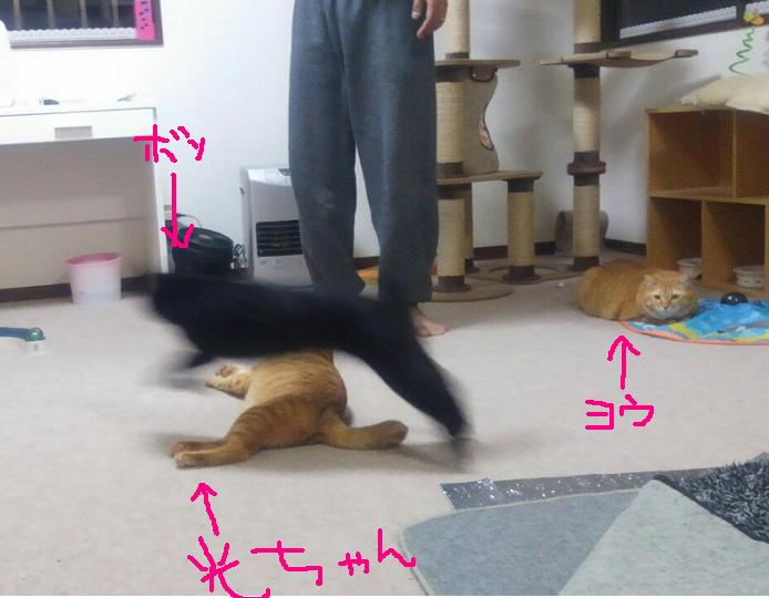 ばかぼん風になる.JPG