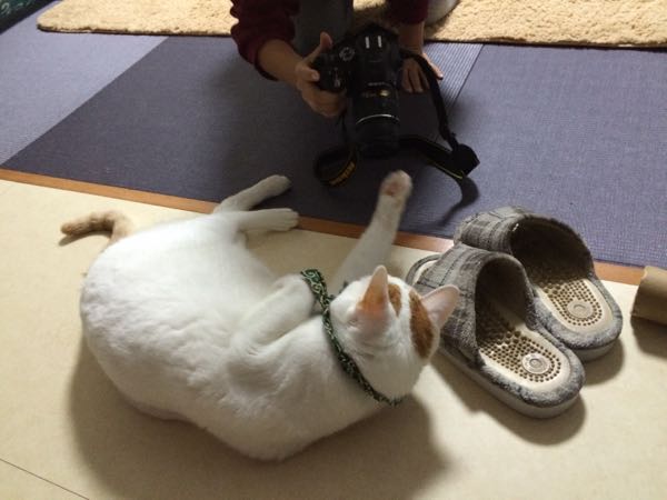 rblog-20141202062506-02.jpg