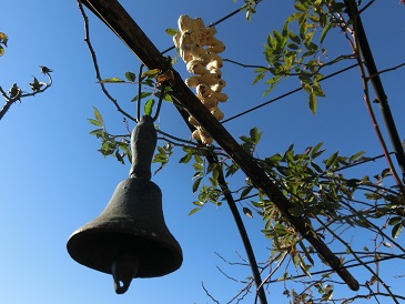 ピーナッツリース