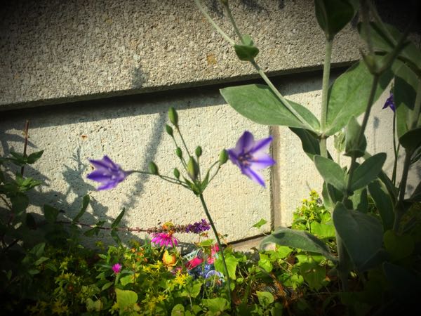 rblog-20160531165029-00.jpg