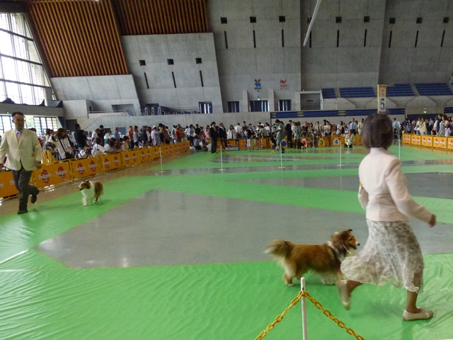 P1010256 - コピー.JPG