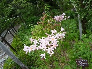 P1080913ss.jpg