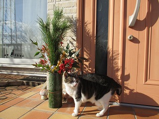 IMG_4304ss.jpg