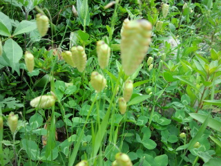 120603_133033.jpg