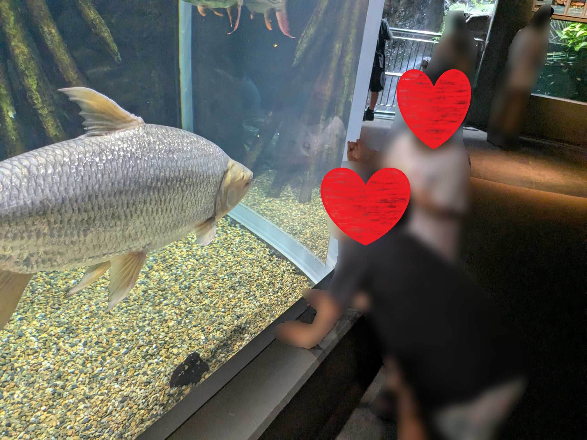 岐阜県各務原市 淡水魚園水族館アクア・トト ぎふ