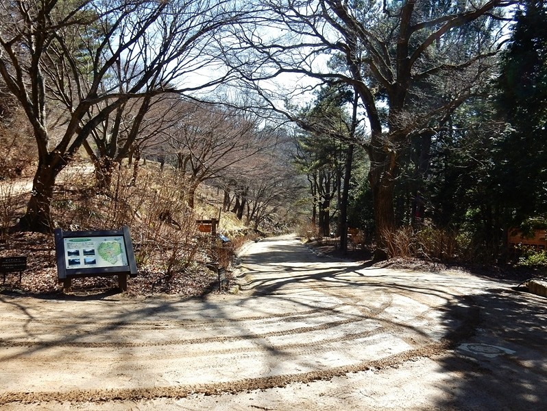 園内路1.JPG