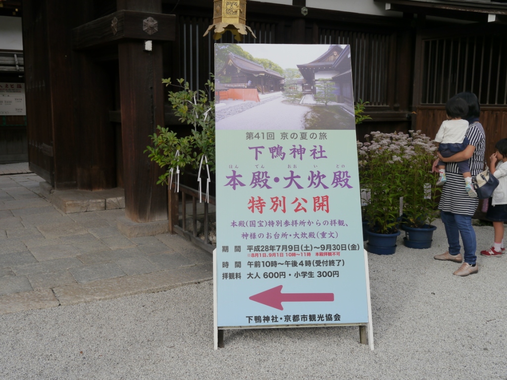 P1090087.JPG