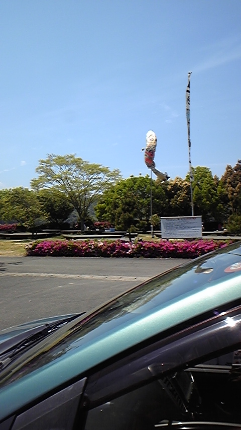 DVC00035.jpg