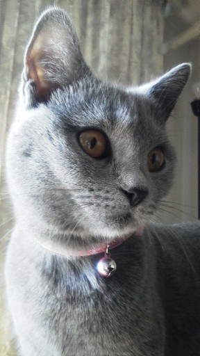 20131204104604.jpg