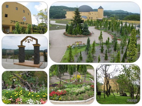 IMG_4200_Fotor_Collage-001.jpg