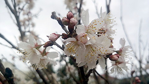 IMG_20160306_154347.jpg