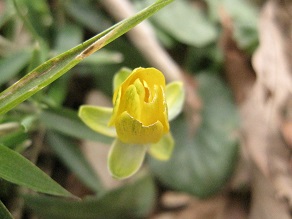 IMG_1477.JPG