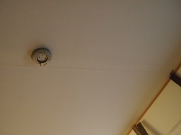 PC172840.JPG