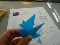 P1020661