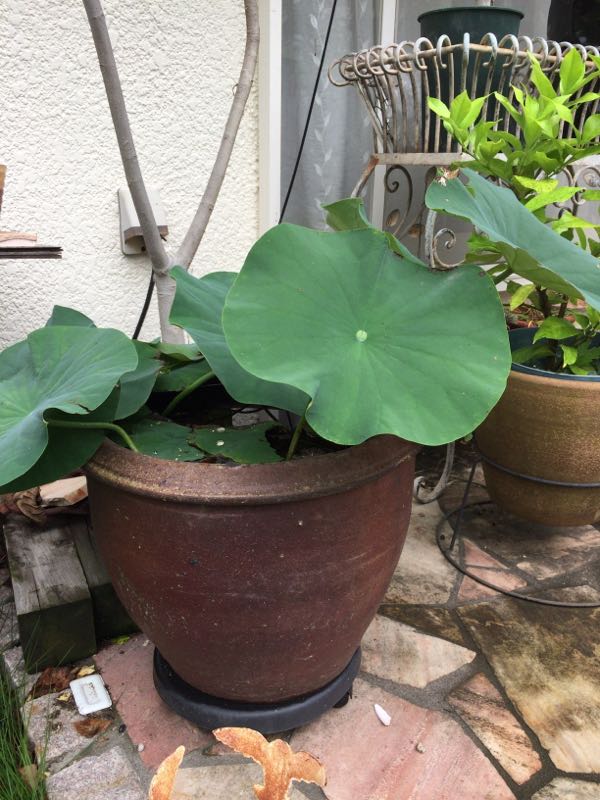 rblog-20170716225257-04.jpg