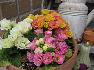 画像 4594.jpg