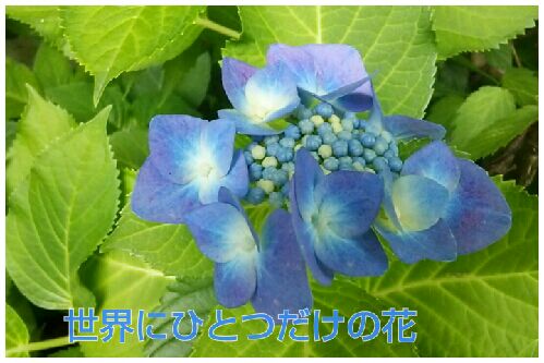 rblog-20160608220339-00.jpg