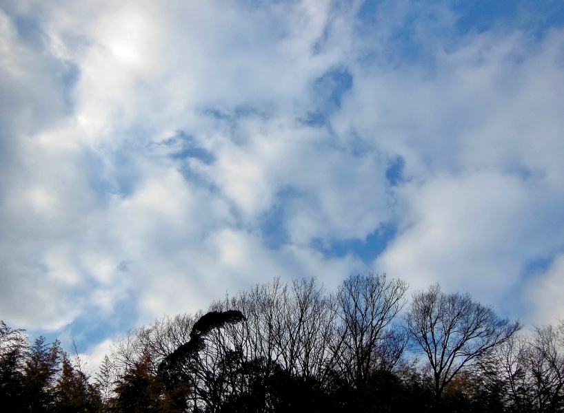 空