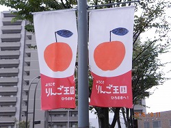 DSCN8394.jpg