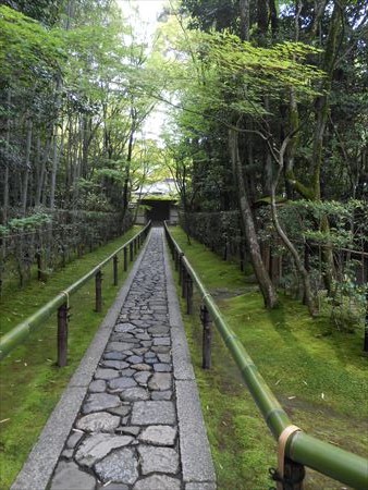 大徳寺　高桐院