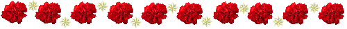 karnation-redgold-line2012[1].gif