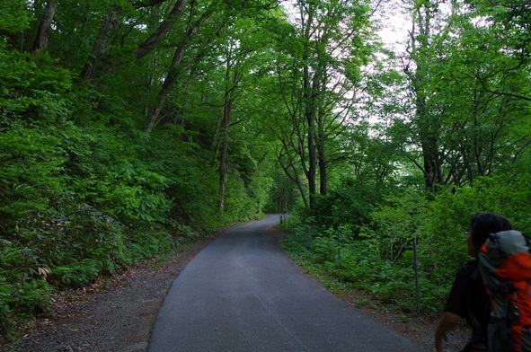 IMGP1256.JPG