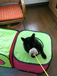 2013052919010000.jpg