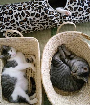 20120629_3.jpg