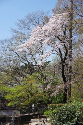 井の頭自然文化園