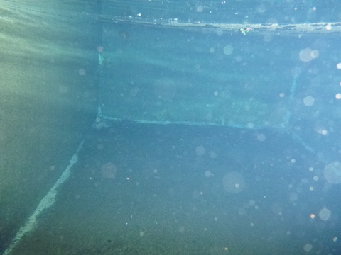 P1020363.JPG