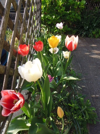 P1020550.JPG